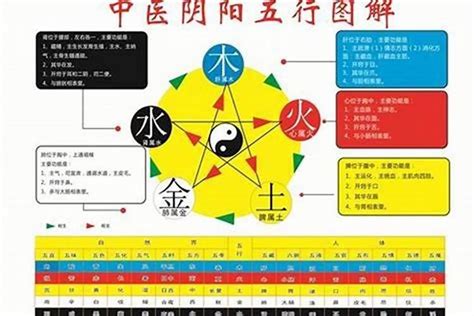 夏 五行|夏字的五行属性